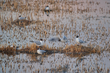 Similar image 22342405