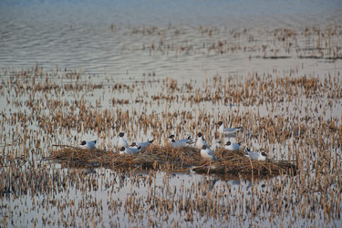 Similar image 22342406