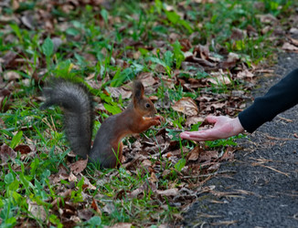 Similar image 22342433