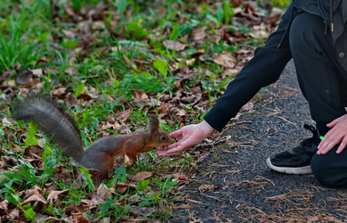 Similar image 22342434