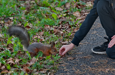 Similar image 22342436