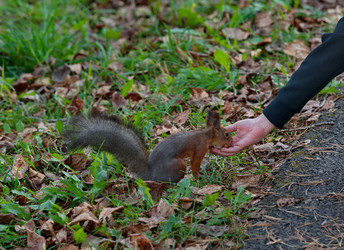 Similar image 22342438