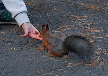 Similar image 22342440