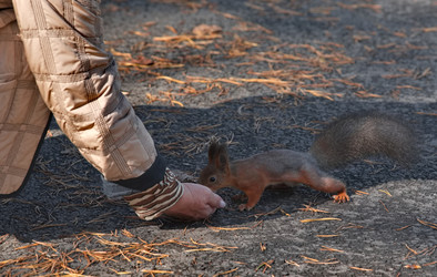 Similar image 22342442