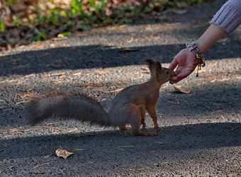 Similar image 22342444