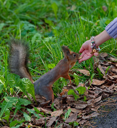 Similar image 22342445