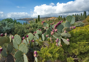 Similar image 22342457