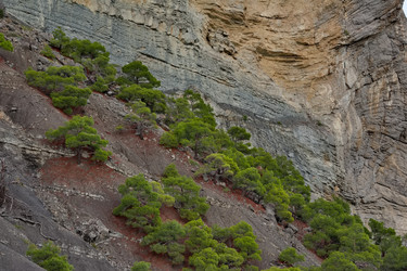 Similar image 22342467