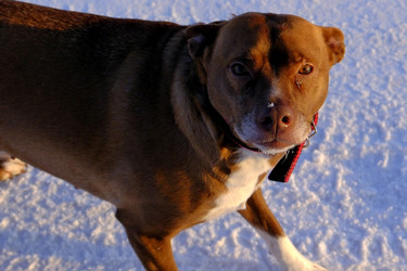 Similar image 22342640