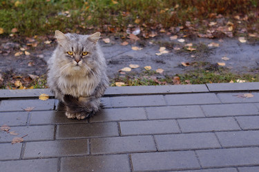 Similar image 22342641