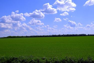 Similar image 22342832