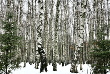 Similar image 22342019