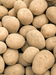 Similar image 22345904