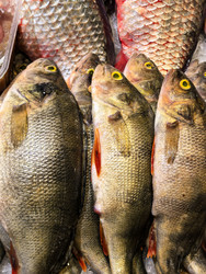 Similar image 22345910