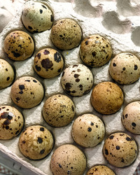 Similar image 22345912