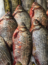 Similar image 22345914