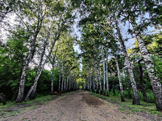 Similar image 22342039