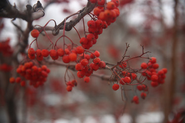 Similar image 22347928