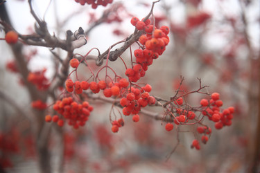 Similar image 22347929