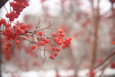 Similar image 22347930