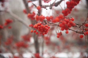 Similar image 22347931