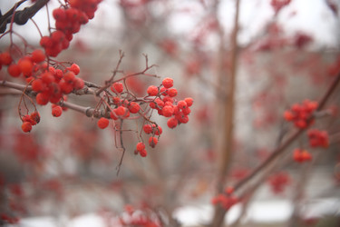 Similar image 22347932