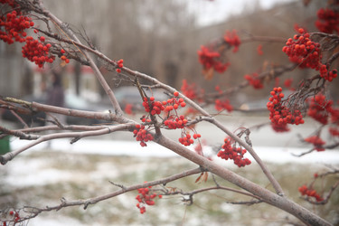 Similar image 22347934