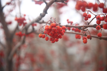 Similar image 22347935