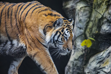 Similar image 22342169