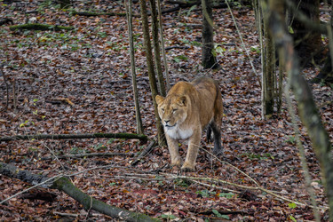 Similar image 22342172