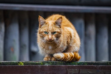 Similar image 22342178