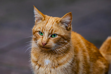 Similar image 22342179