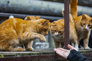 Similar image 22342188