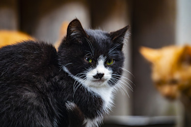 Similar image 22342189