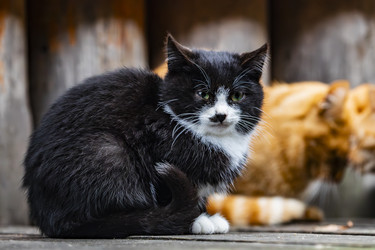 Similar image 22342190