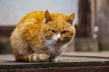 Similar image 22342191