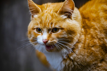 Similar image 22342192