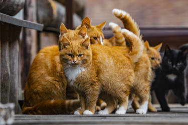 Similar image 22342194