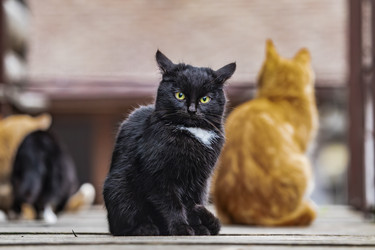 Similar image 22342197