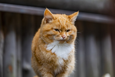 Similar image 22342199