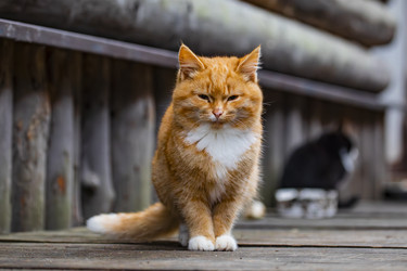 Similar image 22342204