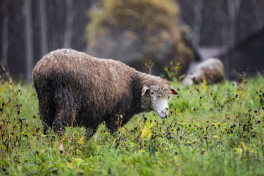 Similar image 22342208