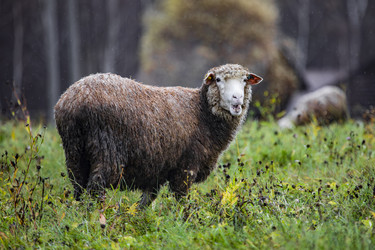 Similar image 22342209