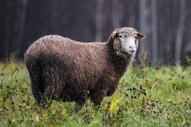 Similar image 22342210