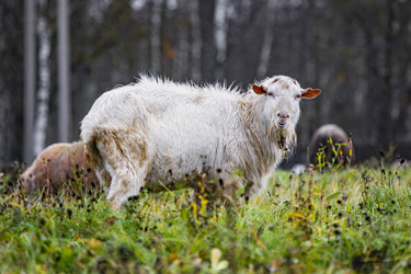 Similar image 22342212