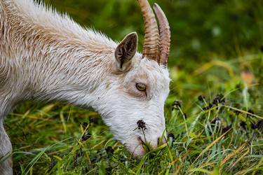 Similar image 22342214