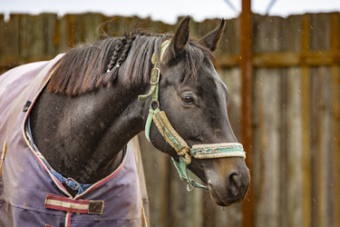 Similar image 22342216