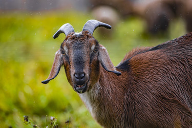 Similar image 22342223