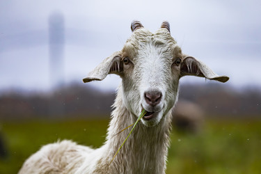 Similar image 22342225