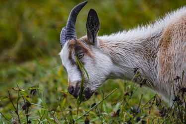 Similar image 22342226